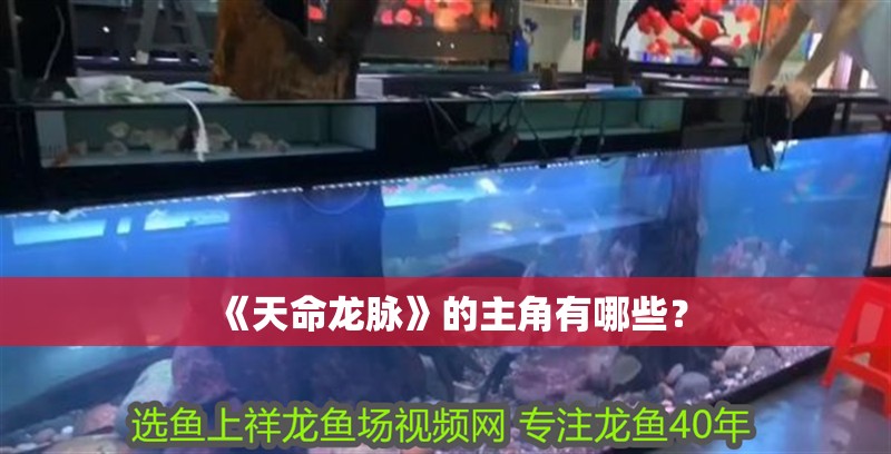 《天命龍脈》的主角有哪些？