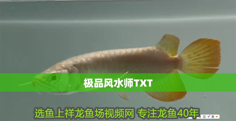 極品風水師TXT