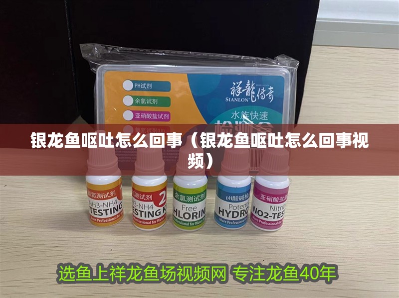 銀龍魚(yú)嘔吐怎么回事（銀龍魚(yú)嘔吐怎么回事視頻）