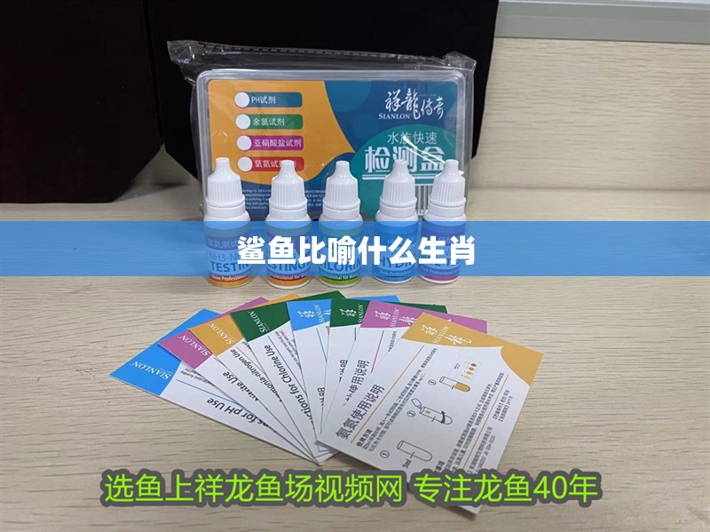 鯊魚比喻什么生肖