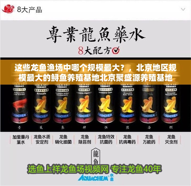 龍魚干蝦有營養(yǎng)嗎 這些龍魚漁場中哪個規(guī)模最大?,北京地區(qū)規(guī)模最大的鱘魚養(yǎng)殖基地北京聚盛源養(yǎng)殖基地 龍魚百科 這些龍魚漁場中哪個規(guī)模最大?,北京地區(qū)規(guī)模最大的鱘魚養(yǎng)殖基地北京聚盛源養(yǎng)殖基地 這些龍魚漁場中哪個規(guī)模最大?,北京地區(qū)規(guī)模最大的鱘魚養(yǎng)殖基地北京聚盛源養(yǎng)殖基地 龍魚百科