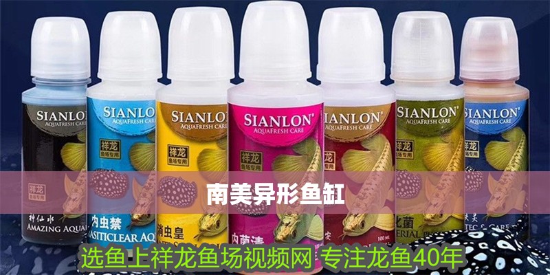 南美異形魚缸 南美異形魚缸 龍魚論壇