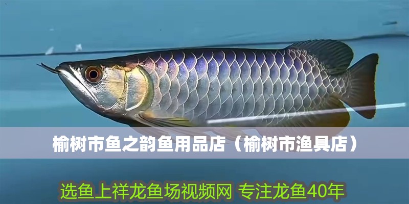 魚缸過濾器選購指南:自制魚缸過濾器魚缸上置過濾器對于養魚愛好者的必備知識 榆樹市魚之韻魚用品店(榆樹市漁具店) 全國水族館企業名錄 榆樹市魚之韻魚用品店(榆樹市漁具店) 榆樹市魚之韻魚用品店(榆樹市漁具店) 全國水族館企業名錄