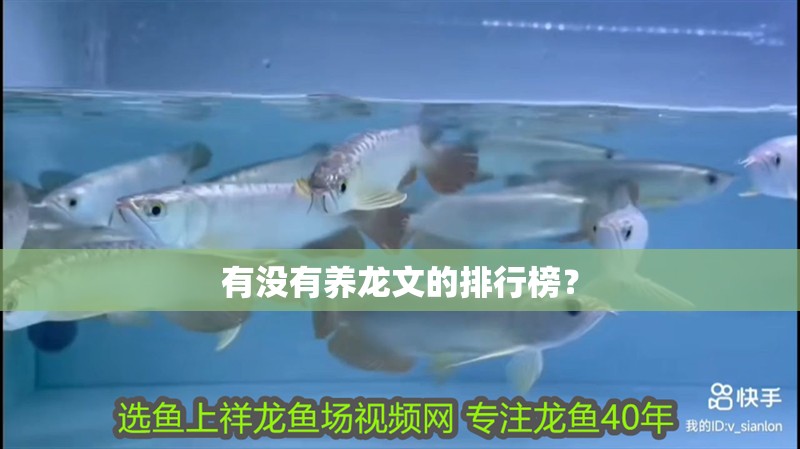 有沒有養龍文的排行榜？