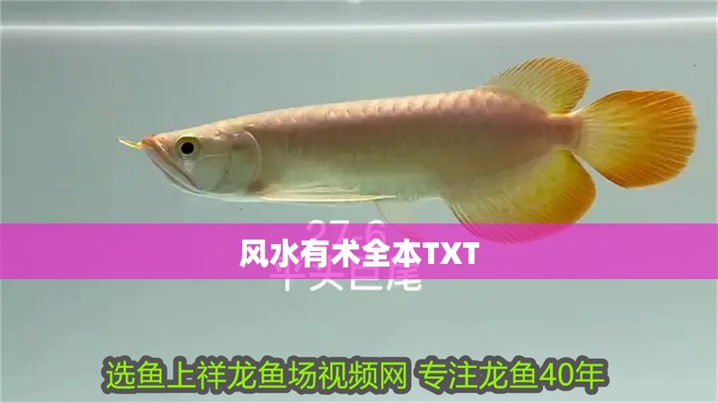 風水有術全本TXT