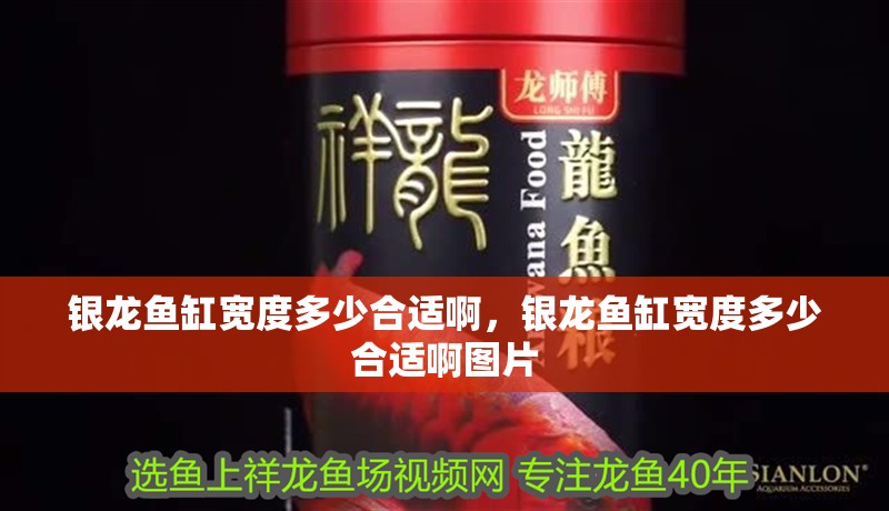 銀龍魚缸寬度多少合適啊，銀龍魚缸寬度多少合適啊圖片