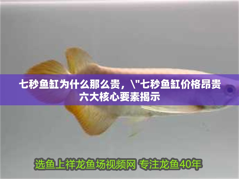 七秒魚缸為什么那么貴，\