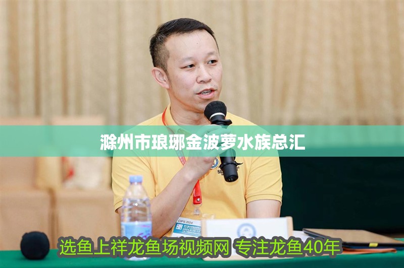 <strong><mark>滁州</mark></strong>市瑯琊金波蘿水族總匯