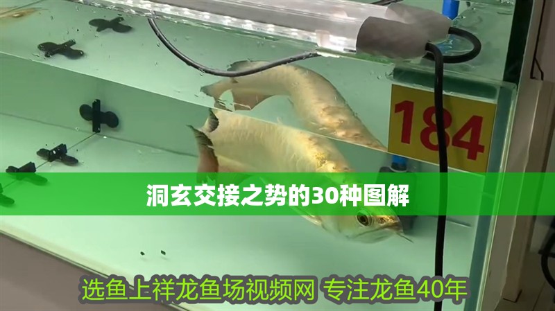 洞玄交接之勢的30種圖解