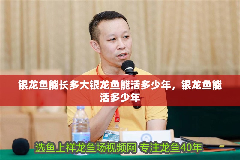 銀龍魚能長多大銀龍魚能活多少年，銀龍魚能活多少年