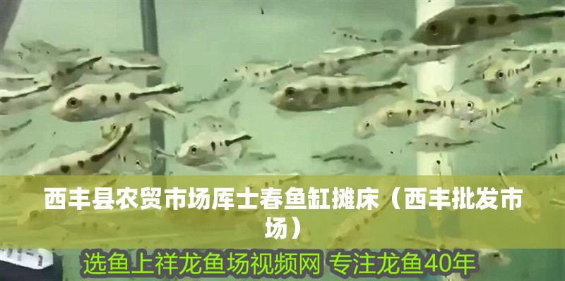 西豐縣農(nóng)貿(mào)市場厙士春魚缸攤床（西豐批發(fā)市場）