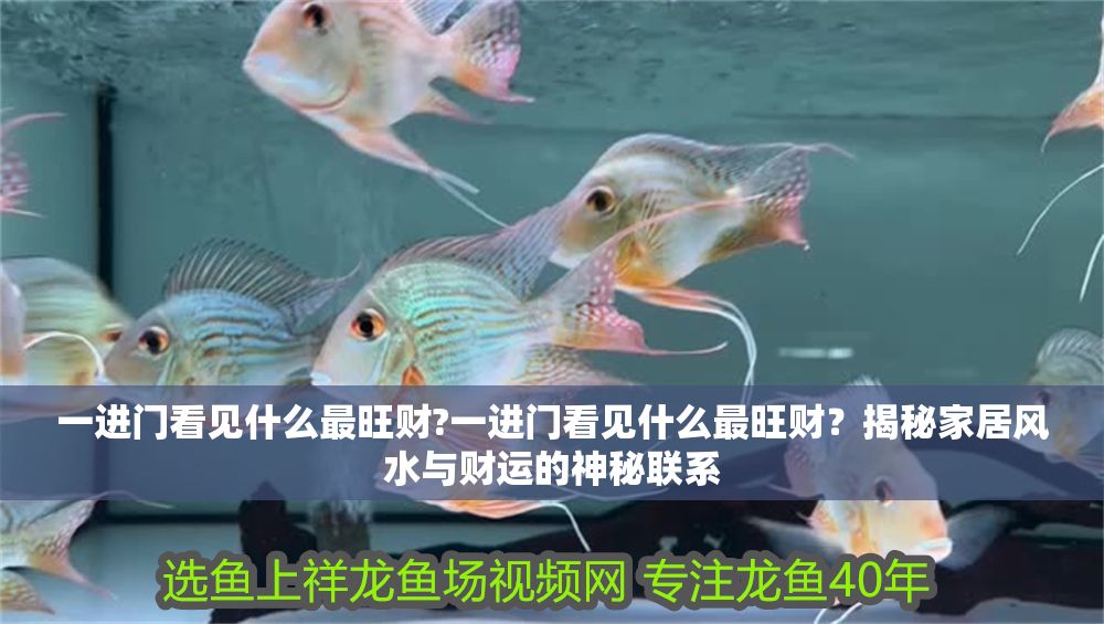 一進門看見什么最旺財?一進門看見什么最旺財？揭秘家居風(fēng)水與財運的神秘聯(lián)系