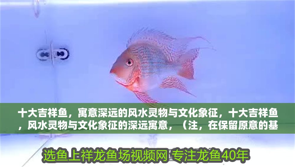 十大吉祥魚，寓意深遠的風水靈物與文化象征，十大吉祥魚，風水靈物與文化象征的深遠寓意，（注，在保留原意的基礎上，調整語序使標題更簡潔流暢，同時突出關鍵詞吉祥魚風水文化的關聯性。）