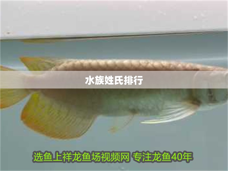 水族姓氏排行