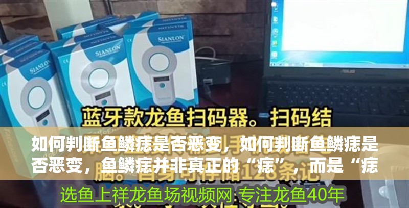 魚缸用增氧泵價格是多少:魚缸增氧機-xtrac增氧機-xtrac增氧機 如何判斷魚鱗痣是否惡變,如何判斷魚鱗痣是否惡變,魚鱗痣并非真正的“痣”,而是“痣” 龍魚百科 如何判斷魚鱗痣是否惡變,如何判斷魚鱗痣是否惡變,魚鱗痣并非真正的“痣”,而是“痣” 如何判斷魚鱗痣是否惡變,如何判斷魚鱗痣是否惡變,魚鱗痣并非真正的“痣”,而是“痣” 龍魚百科