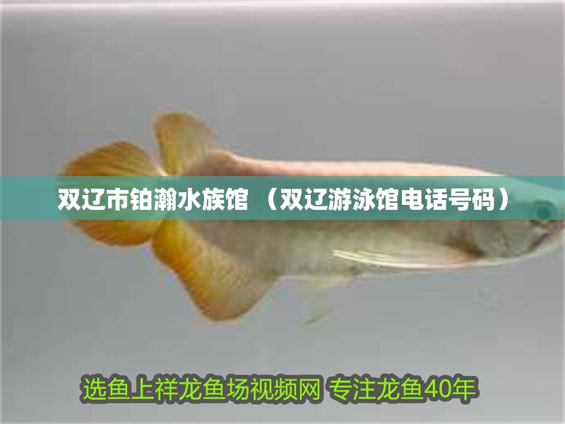 雙遼市鉑瀚水族館 （雙遼游泳館電話號碼）