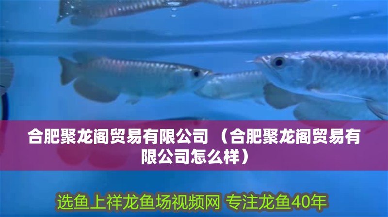 合肥聚龍閣貿易有限公司 （合肥聚龍閣貿易有限公司怎么樣） 合肥聚龍閣貿易有限公司 （合肥聚龍閣貿易有限公司怎么樣） 全國水族館企業名錄