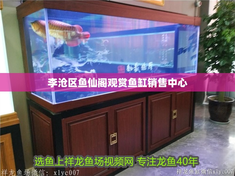 李滄區(qū)魚仙閣觀賞魚缸銷售中心