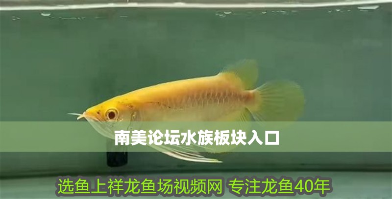 南美論壇水族板塊入口