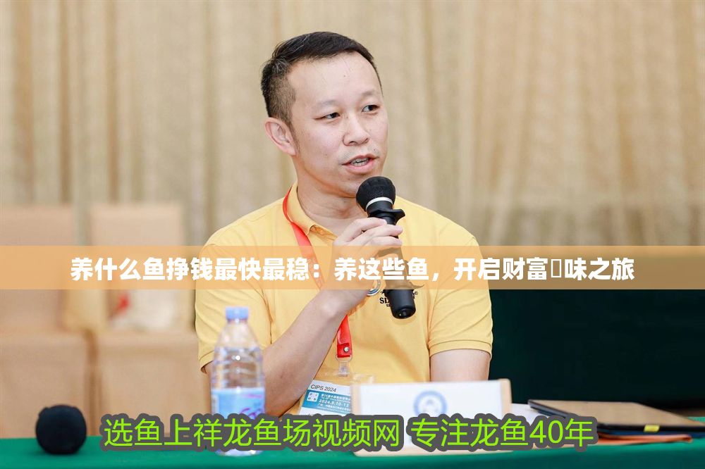 養(yǎng)什么魚掙錢最快最穩(wěn)：養(yǎng)這些魚，開啟財(cái)富鲹味之旅