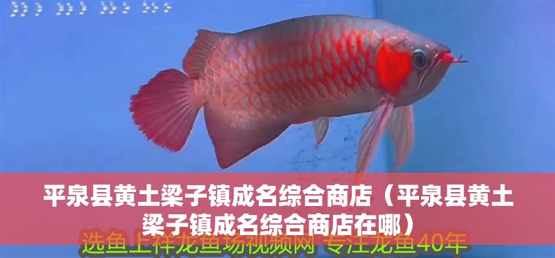 平泉縣黃土梁子鎮成名綜合商店（平泉縣黃土梁子鎮成名綜合商店在哪）