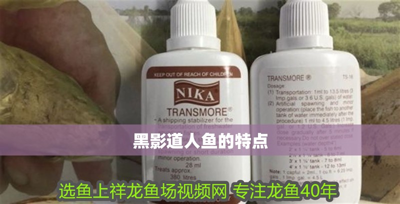 黑影道人魚的特點 黑影道人魚的特點 龍魚論壇