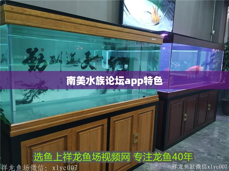 <strong><mark>南美水族</mark></strong>論壇app特色