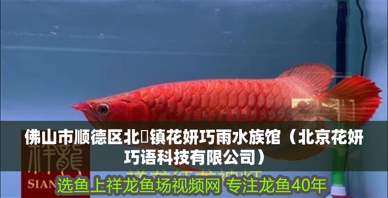 佛山市順德區北滘鎮花妍巧雨水族館（北京花妍巧語科技有限公司） 佛山市順德區北滘鎮花妍巧雨水族館（北京花妍巧語科技有限公司） 全國水族館企業名錄