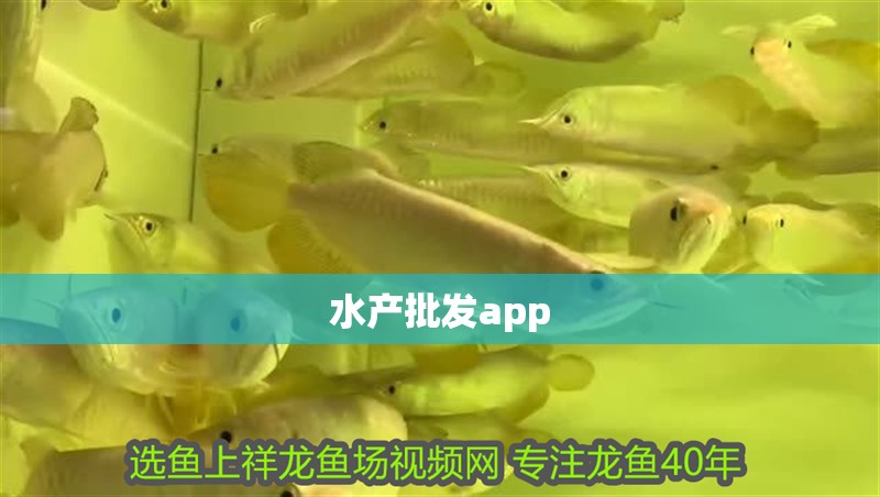 水產批發app
