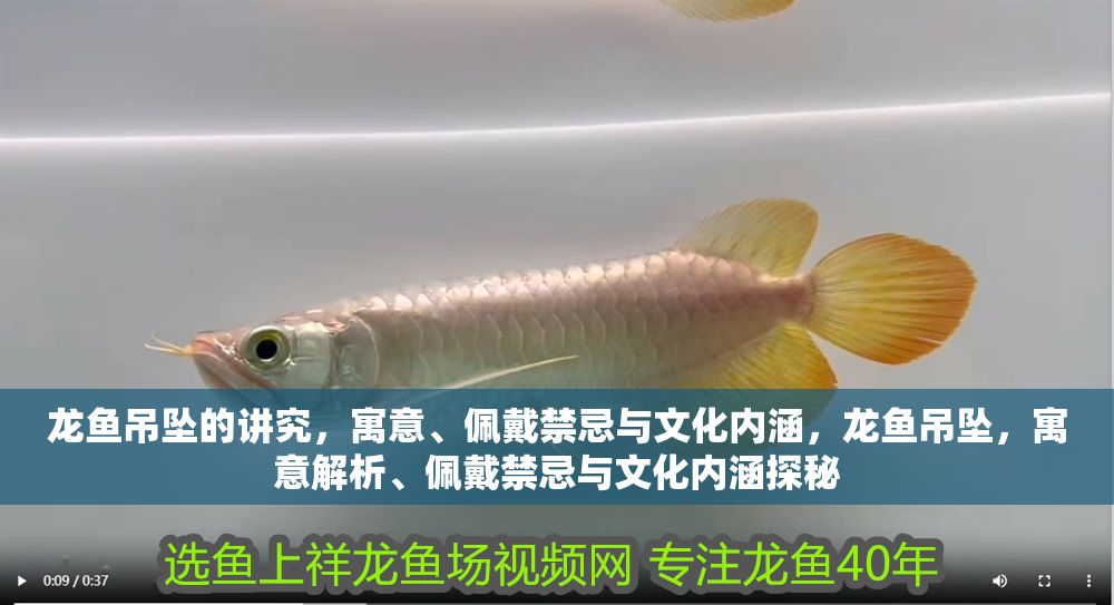 龍魚吊墜的講究，寓意、佩戴禁忌與文化內涵，龍魚吊墜，寓意解析、佩戴禁忌與文化內涵探秘 龍魚吊墜的講究，寓意、佩戴禁忌與文化內涵，龍魚吊墜，寓意解析、佩戴禁忌與文化內涵探秘 龍魚百科 第1張