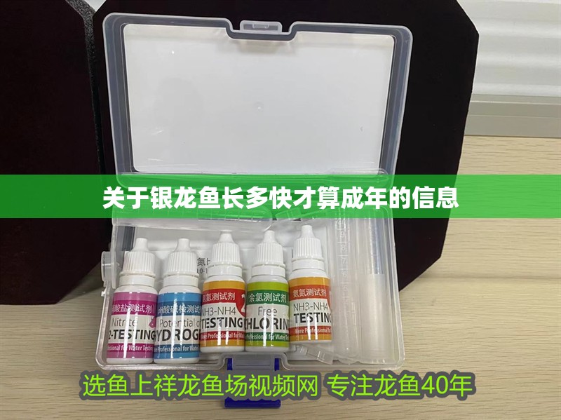 關(guān)于銀龍魚長(zhǎng)多快才算成年的信息