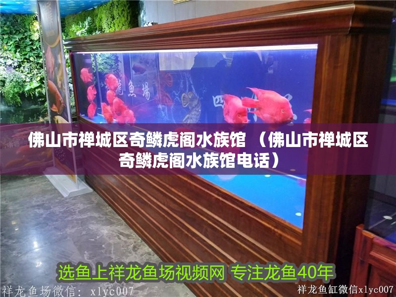 佛山市禪城區奇鱗虎閣水族館 （佛山市禪城區奇鱗虎閣水族館電話） 佛山市禪城區奇鱗虎閣水族館 （佛山市禪城區奇鱗虎閣水族館電話） 全國水族館企業名錄