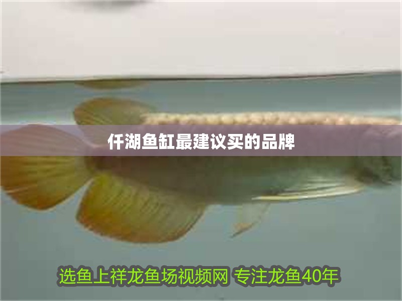 仟湖魚缸最建議買的品牌
