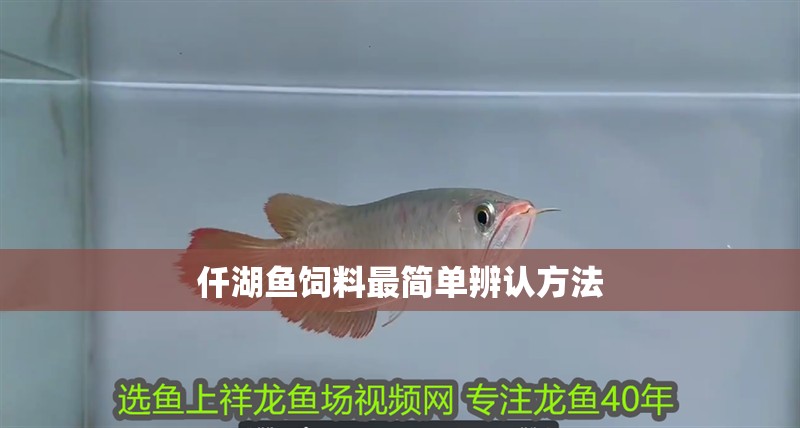 仟湖魚飼料最簡單辨認(rèn)方法