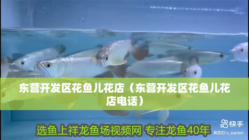 鸚鵡魚和銀龍魚混養怎樣喂食 東營開發區花魚兒花店(東營開發區花魚兒花店電話) 全國水族館企業名錄 東營開發區花魚兒花店(東營開發區花魚兒花店電話) 東營開發區花魚兒花店(東營開發區花魚兒花店電話) 全國水族館企業名錄