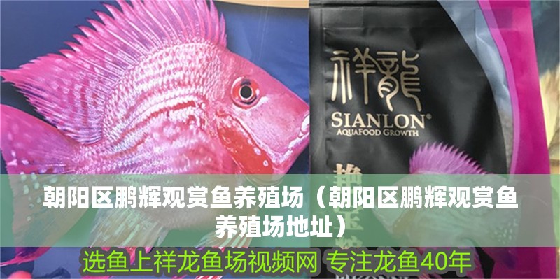 朝陽區鵬輝觀賞魚養殖場（朝陽區鵬輝觀賞魚養殖場地址）