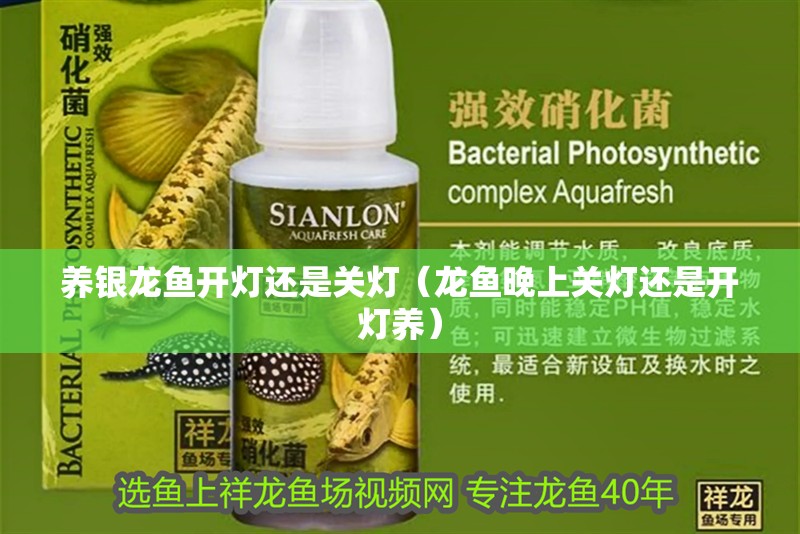 養銀龍魚開燈還是關燈（龍魚晚上關燈還是開燈養）