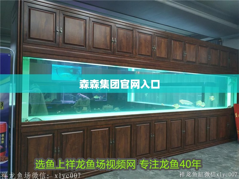 森森集團官網(wǎng)入口