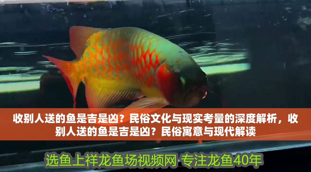 詳細閱讀:收別人送的魚是吉是兇?民俗文化與現實考量的深度解析,收別人送的魚是吉是兇?民俗寓意與現代解讀 收別人送的魚是吉是兇?民俗文化與現實考量的深度解析,收別人送的魚是吉是兇?民俗寓意與現代解讀