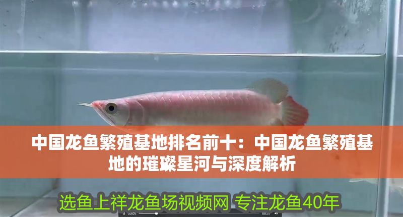 中國龍魚繁殖基地排名前十：中國龍魚繁殖基地的璀璨星河與深度解析