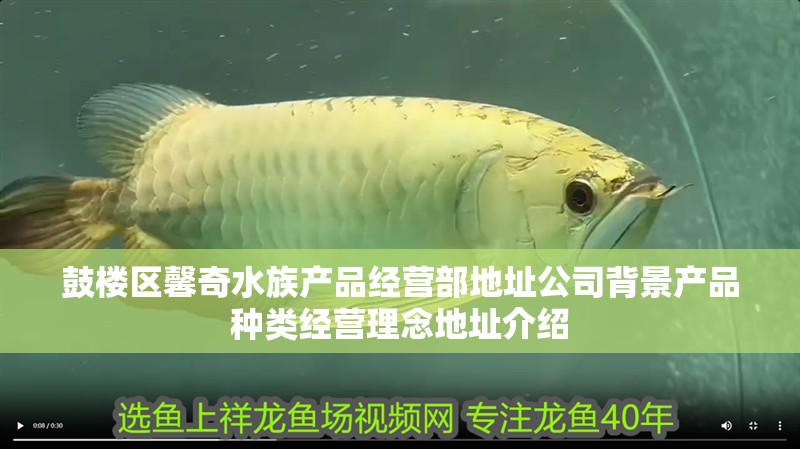 鼓樓區(qū)馨奇水族產(chǎn)品經(jīng)營部地址公司背景產(chǎn)品種類經(jīng)營理念地址介紹
