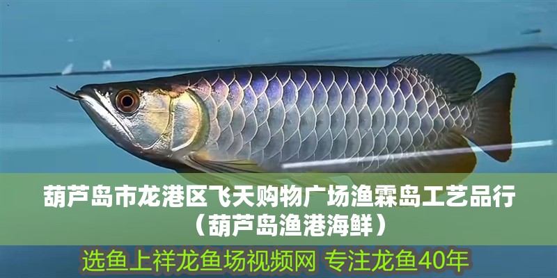 葫蘆島市龍港區飛天購物廣場漁霖島工藝品行（葫蘆島漁港海鮮）