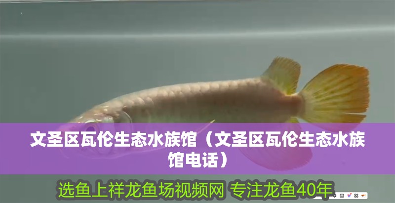 文圣區(qū)瓦倫生態(tài)水族館（文圣區(qū)瓦倫生態(tài)水族館電話）