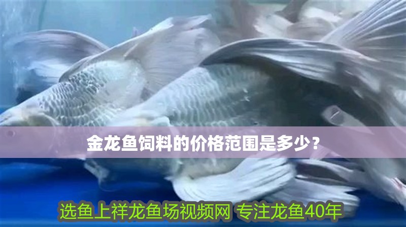 金龍魚飼料的價格范圍是多少？