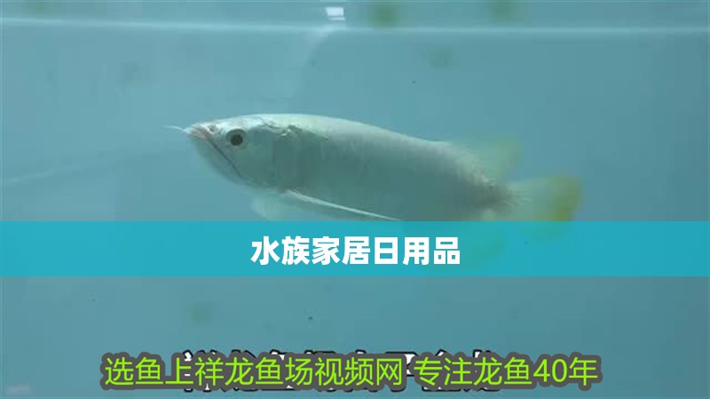 水族家居日用品