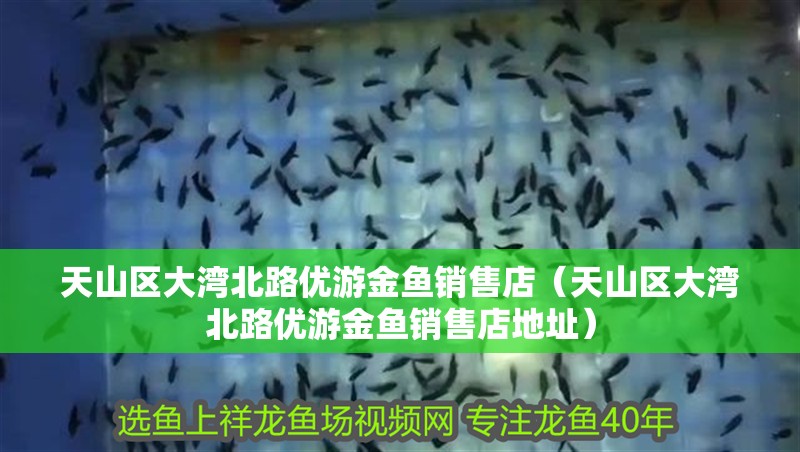 天山區大灣北路優游金魚銷售店（天山區大灣北路優游金魚銷售店地址）