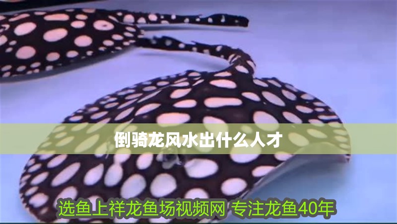 倒騎龍風水出什么人才