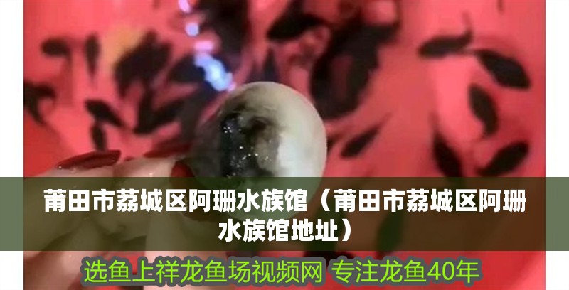 莆田市<strong><mark>荔城</mark></strong>區阿珊水族館（莆田市<strong><mark>荔城</mark></strong>區阿珊水族館地址）