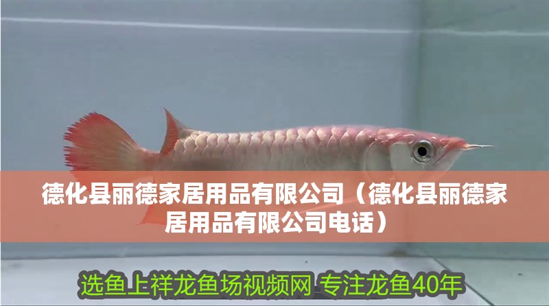 德化縣麗德家居用品有限公司（德化縣麗德家居用品有限公司電話）