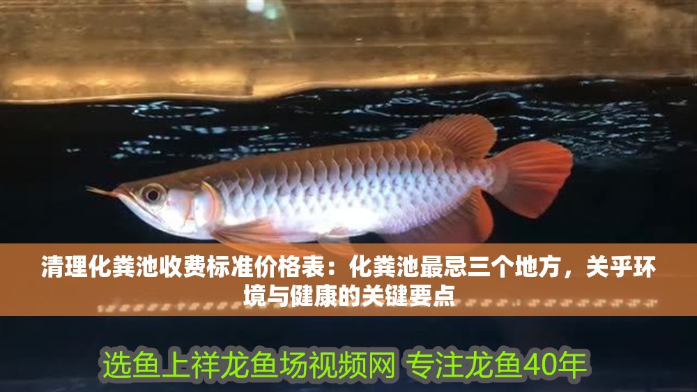 清理化糞池收費標準價格表：化糞池最忌三個地方，關乎環境與健康的關鍵要點